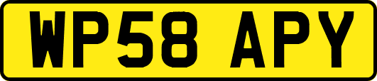 WP58APY