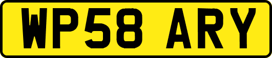 WP58ARY