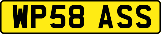 WP58ASS