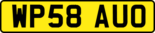 WP58AUO