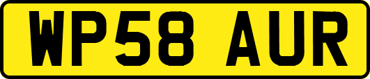 WP58AUR