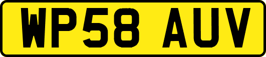 WP58AUV