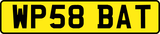 WP58BAT