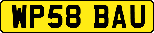 WP58BAU