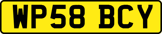 WP58BCY