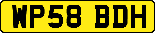 WP58BDH