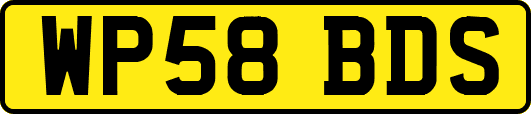 WP58BDS