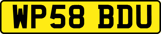 WP58BDU