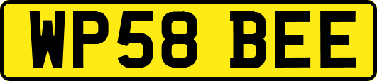 WP58BEE