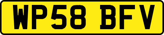WP58BFV