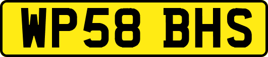 WP58BHS