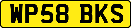 WP58BKS