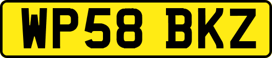 WP58BKZ