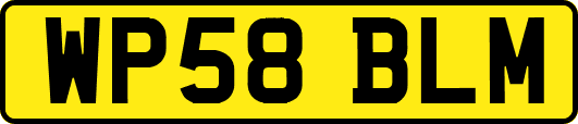 WP58BLM