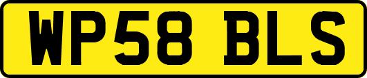 WP58BLS