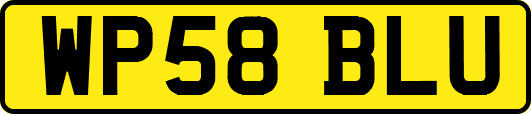 WP58BLU