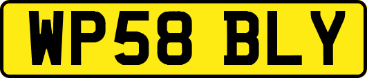 WP58BLY