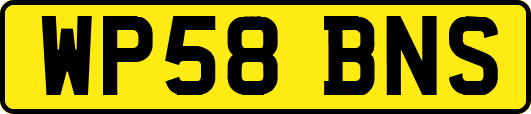 WP58BNS