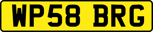 WP58BRG