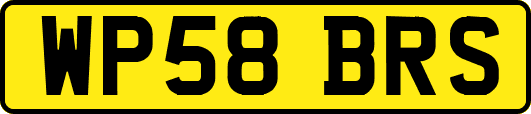 WP58BRS
