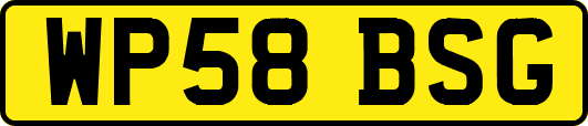 WP58BSG