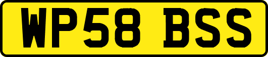 WP58BSS