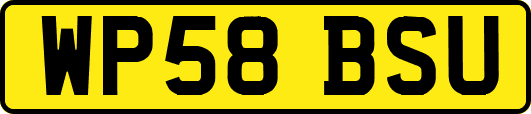 WP58BSU