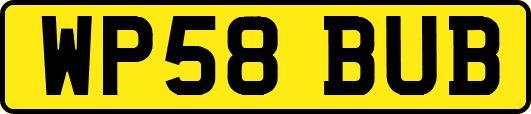 WP58BUB