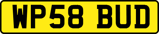 WP58BUD