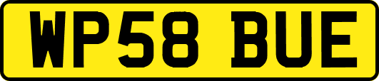WP58BUE