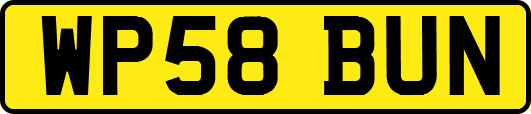 WP58BUN