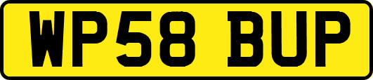 WP58BUP
