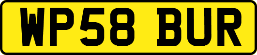WP58BUR