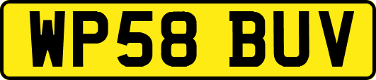 WP58BUV