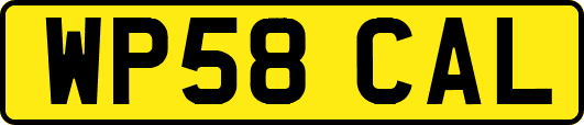 WP58CAL