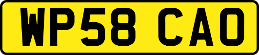 WP58CAO