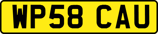WP58CAU