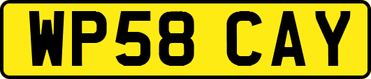 WP58CAY