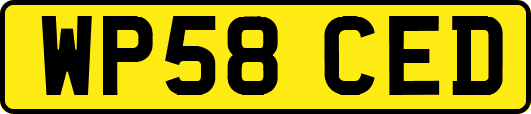 WP58CED