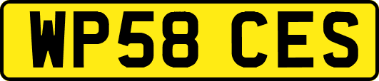 WP58CES