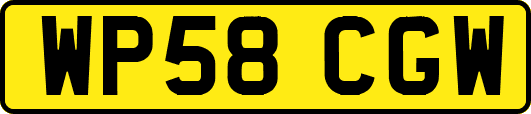 WP58CGW