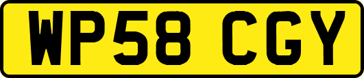 WP58CGY