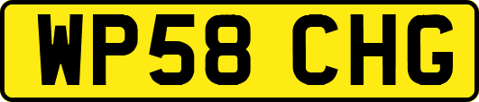 WP58CHG