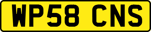 WP58CNS