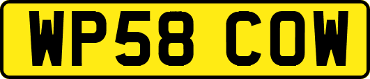 WP58COW