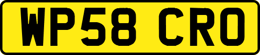 WP58CRO