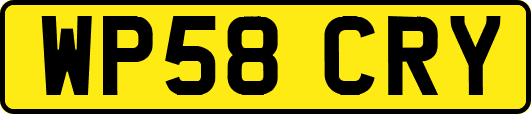 WP58CRY