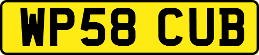 WP58CUB