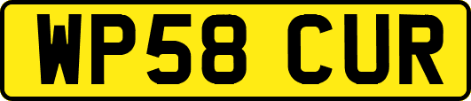 WP58CUR