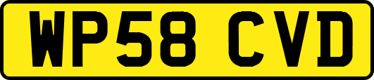 WP58CVD